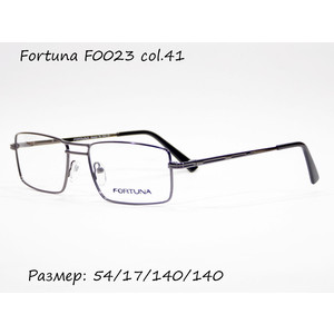 Оправа Fortuna F0023 col. 41