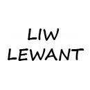 Оправы Liw Lewant (Польша).