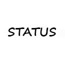 Оправы Status